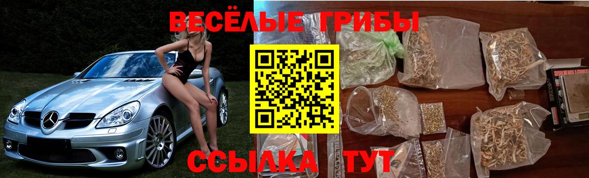 Псилоцибиновые грибы Cubensis Тимашёвск