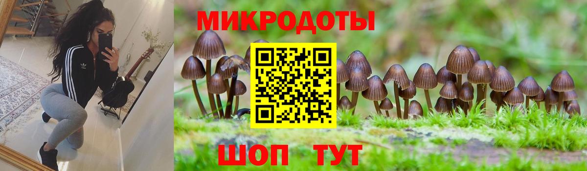 наркота  Псилоцибиновые грибы прущие грибы  Тимашёвск  Вход с VPN  Псилоцибиновые грибы ЛСД 