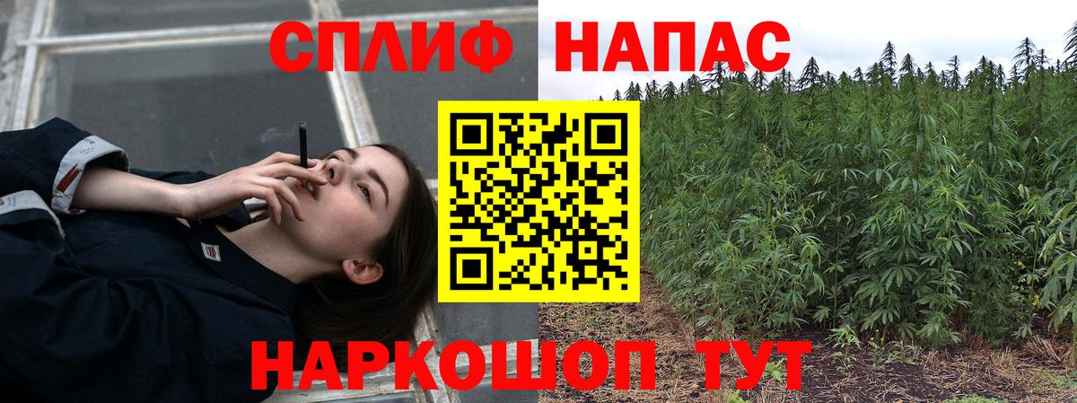 МАРИХУАНА планчик Тимашёвск
